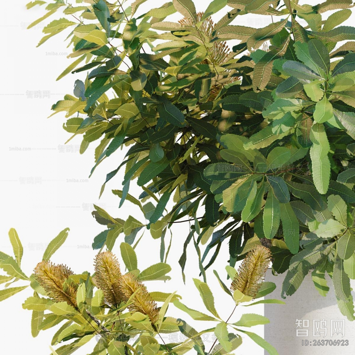 Modern Aquatic Green Plant