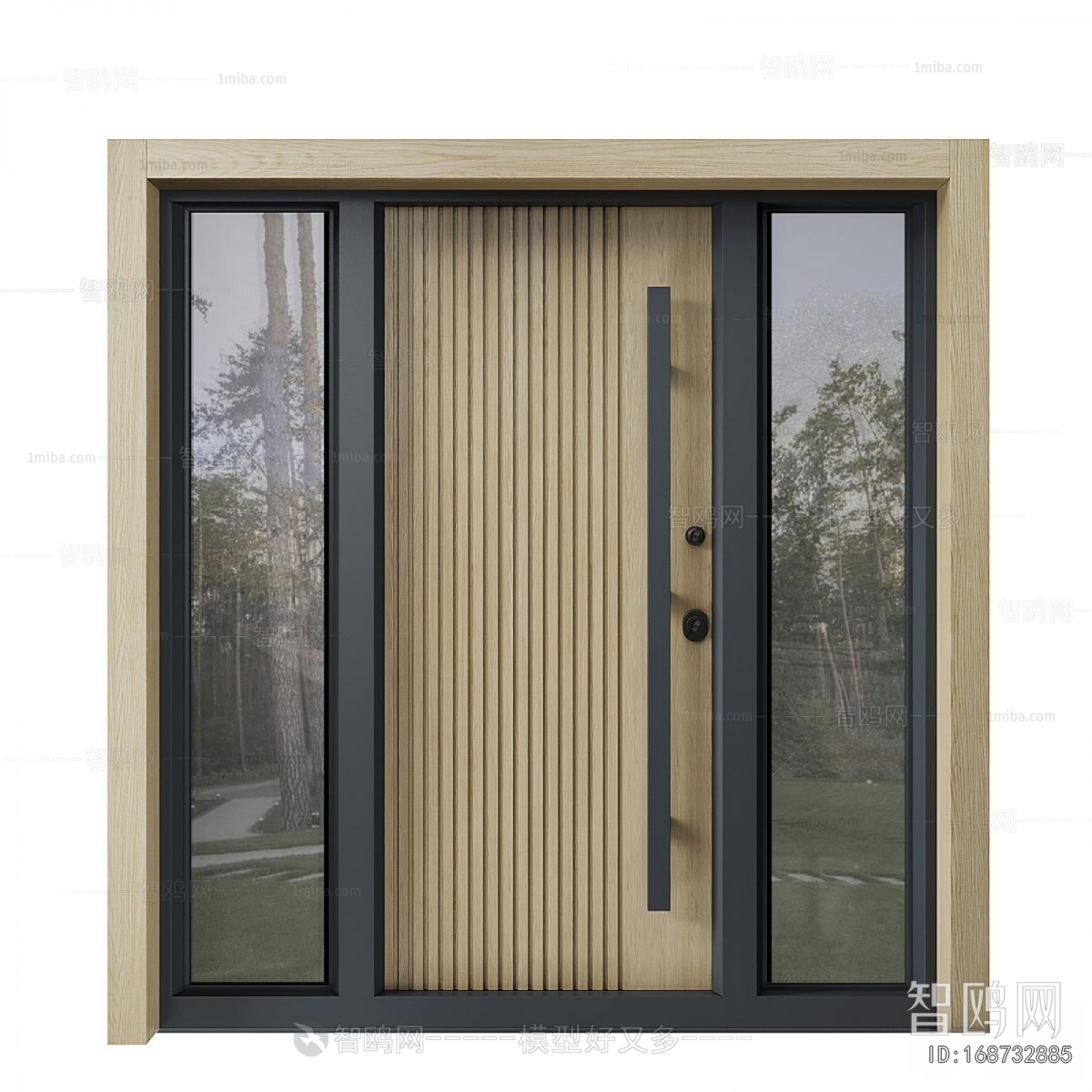 Modern Entrance Door