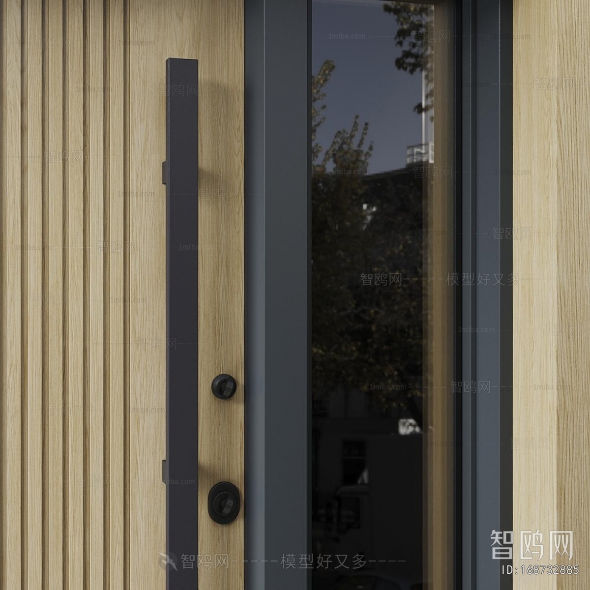 Modern Entrance Door