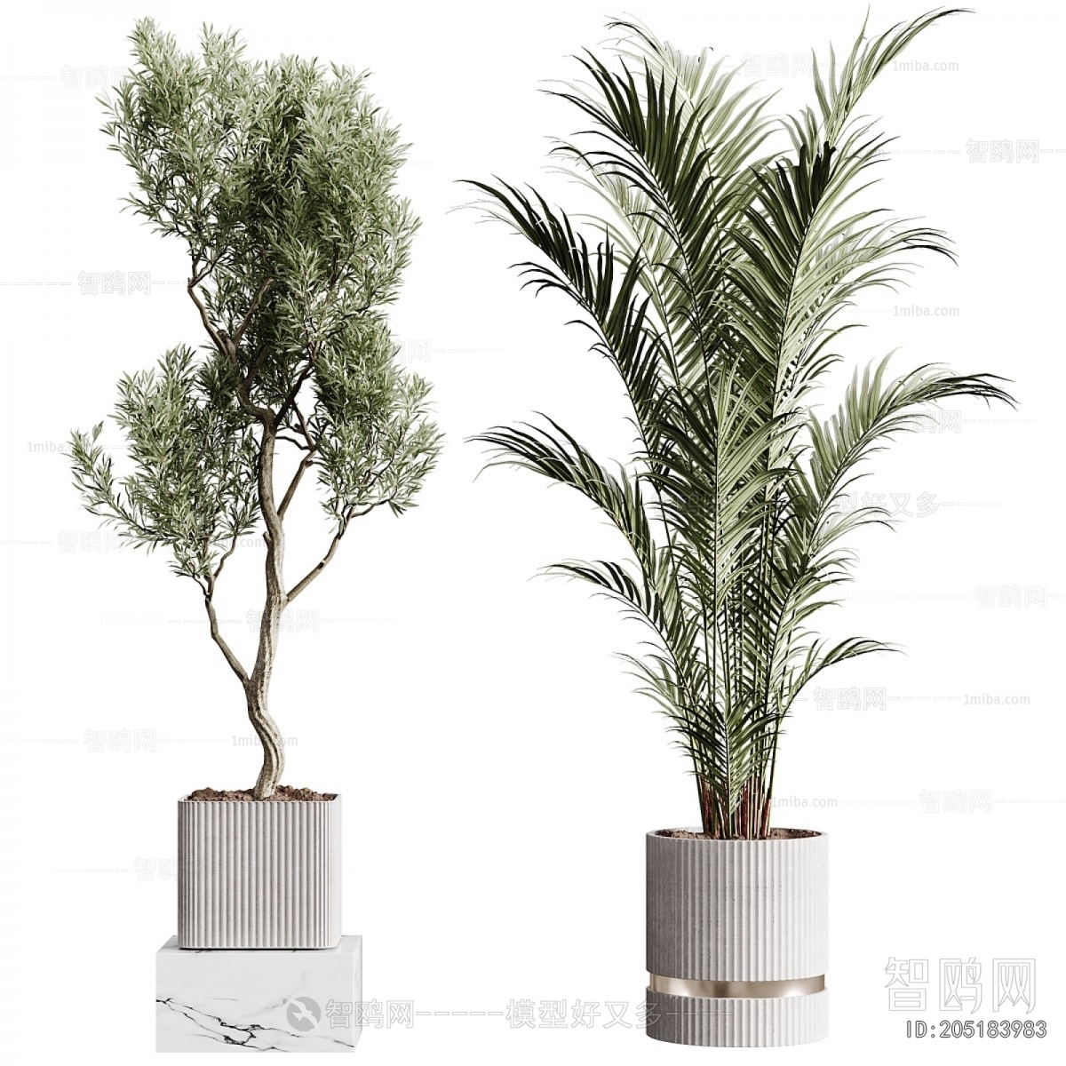 Modern Ground Green Plant Potted Plants