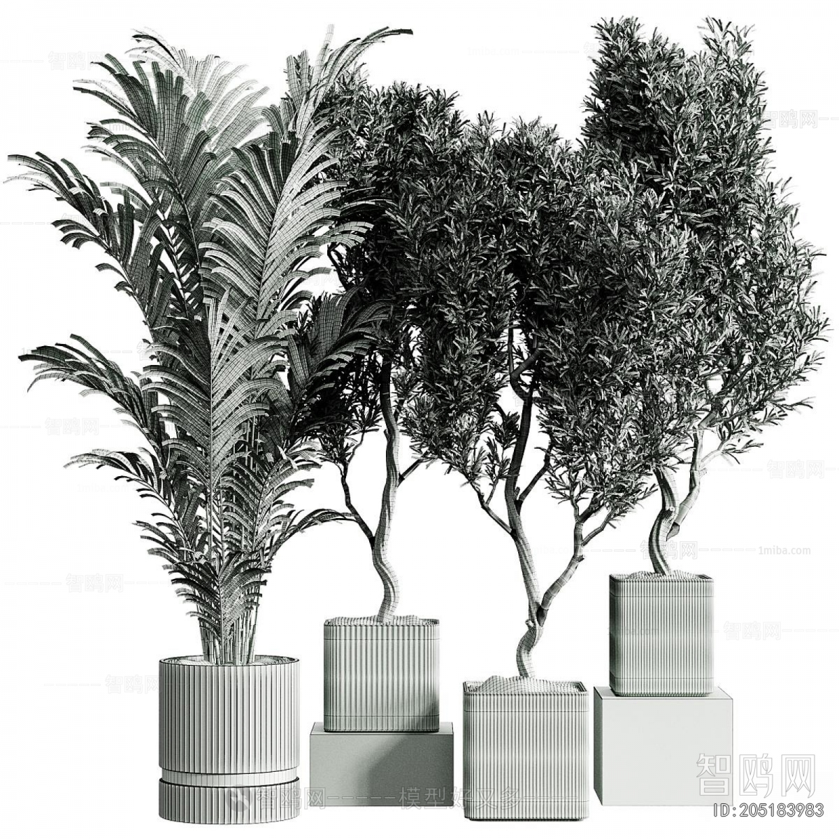 Modern Ground Green Plant Potted Plants