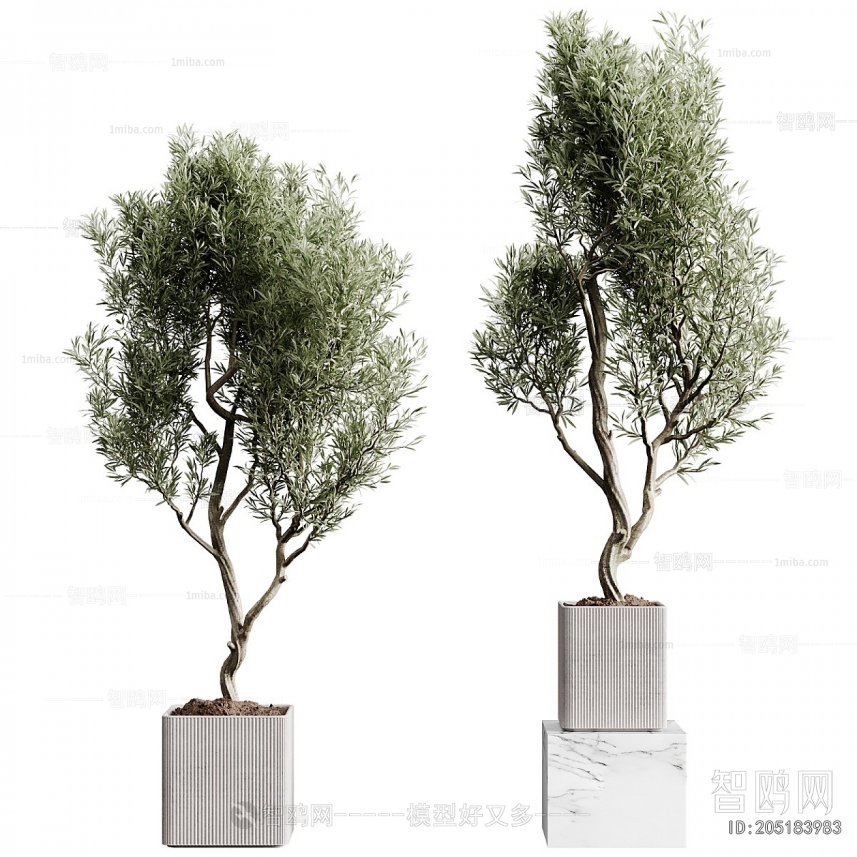 Modern Ground Green Plant Potted Plants