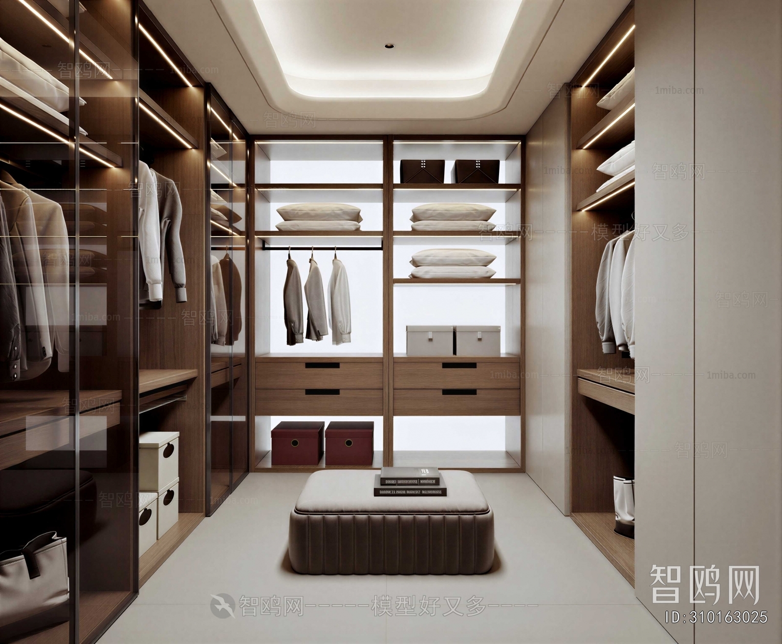 Modern Clothes Storage Area