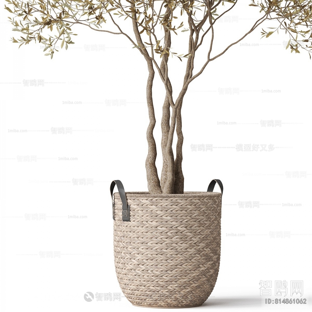 Modern Ground Green Plant Potted Plants