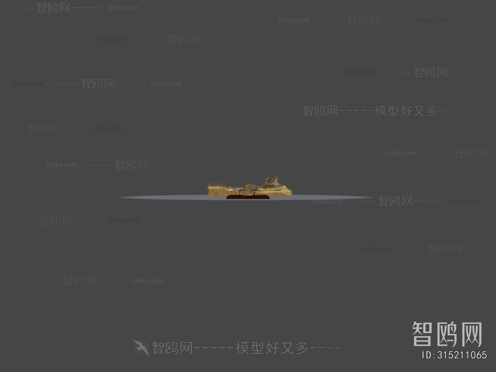 Modern Military Equipment