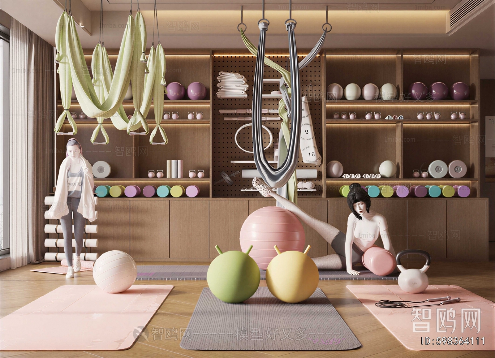 Modern Home Fitness Room