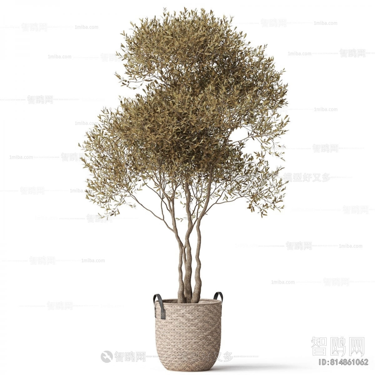 Modern Ground Green Plant Potted Plants