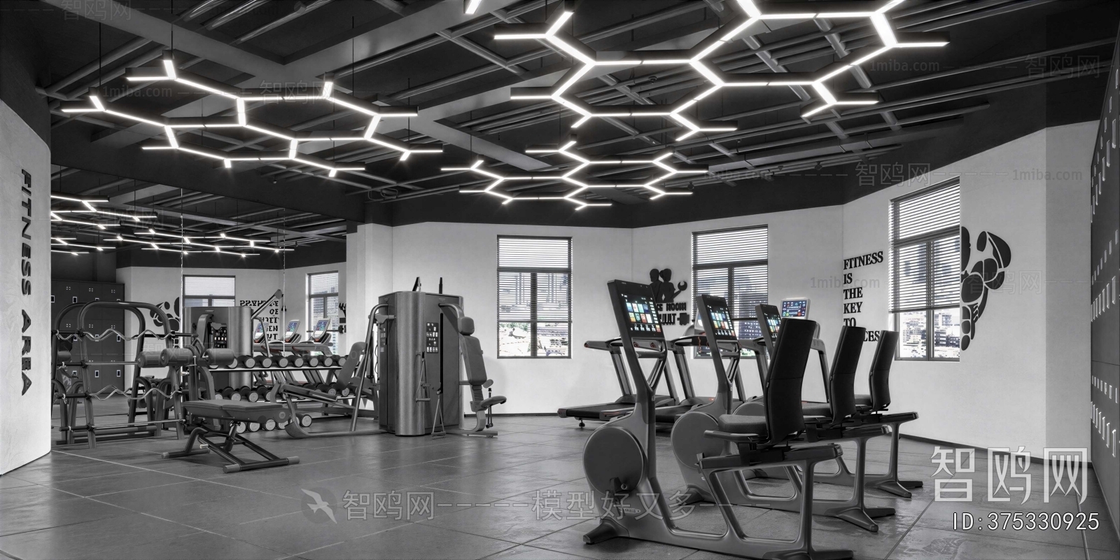 Modern Gym