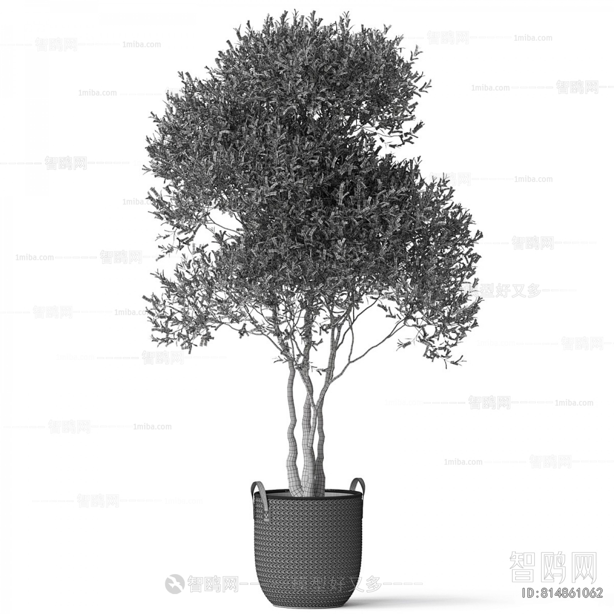 Modern Ground Green Plant Potted Plants