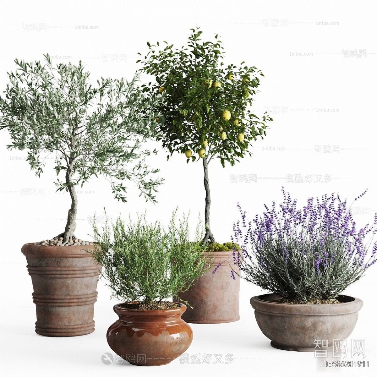 Modern Ground Green Plant Potted Plants