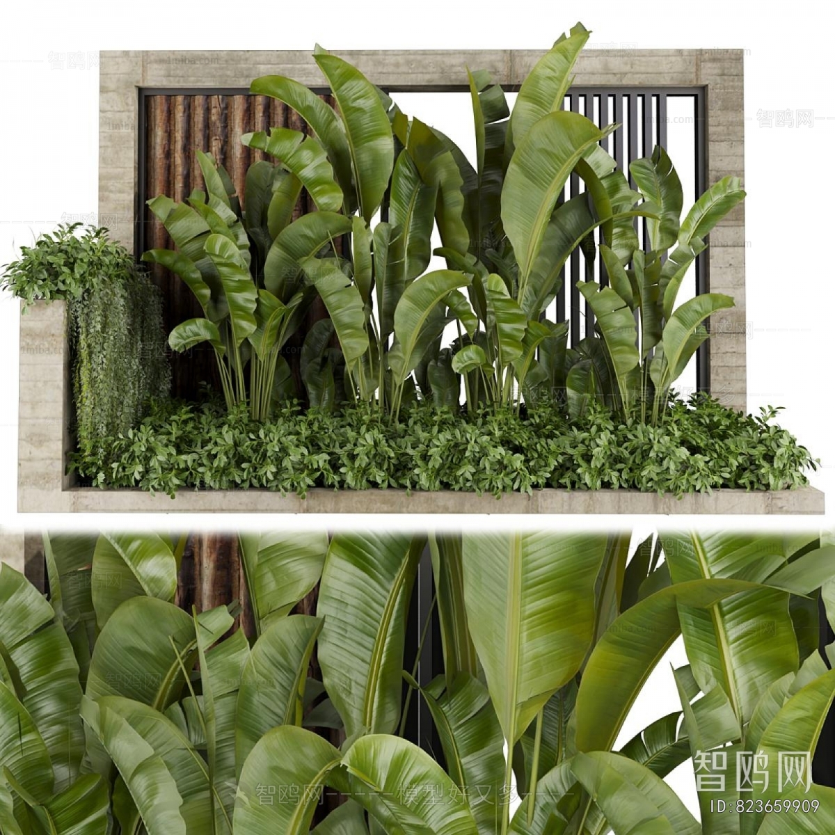 Modern Flower Bed, Flower Bowl, Flower Box