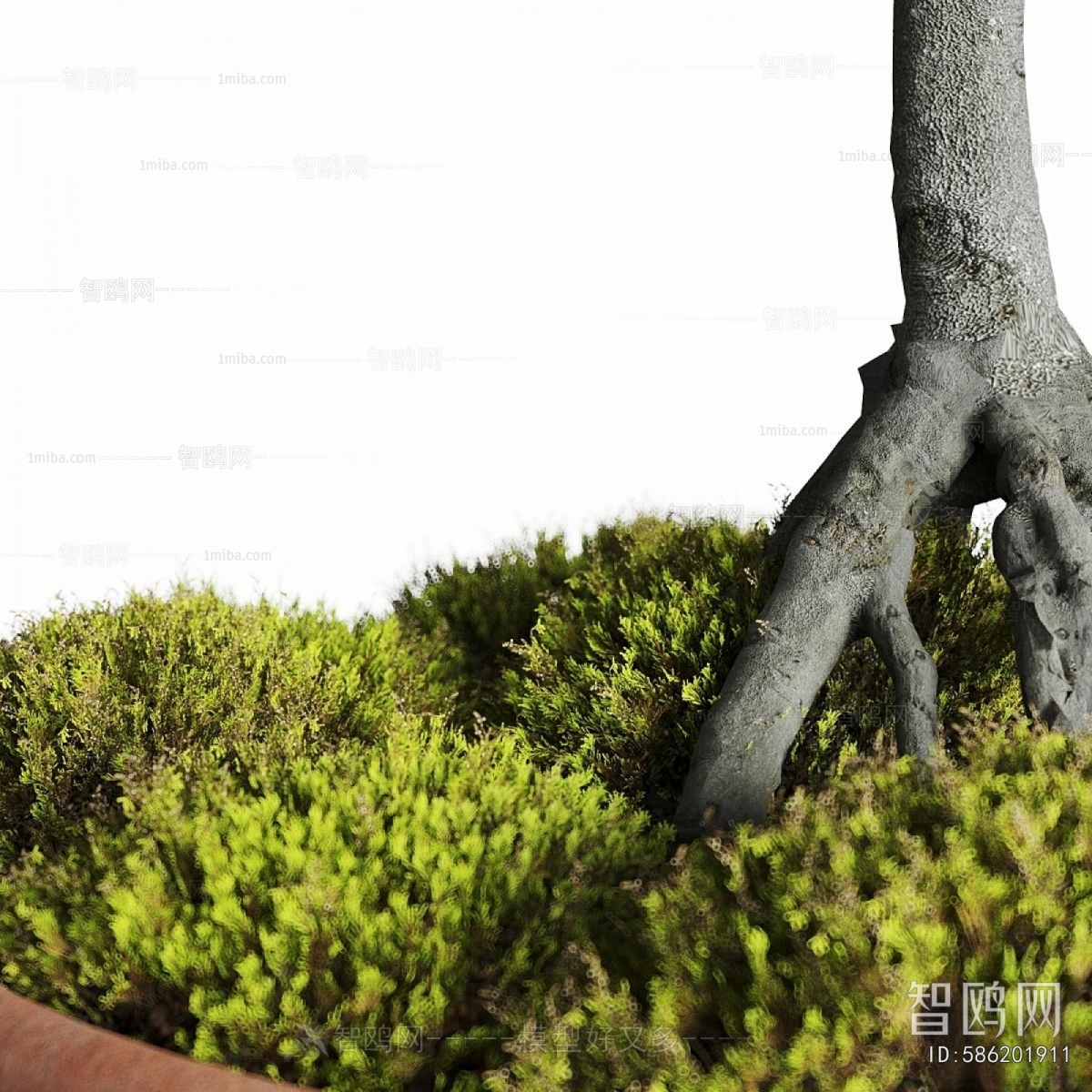 Modern Ground Green Plant Potted Plants