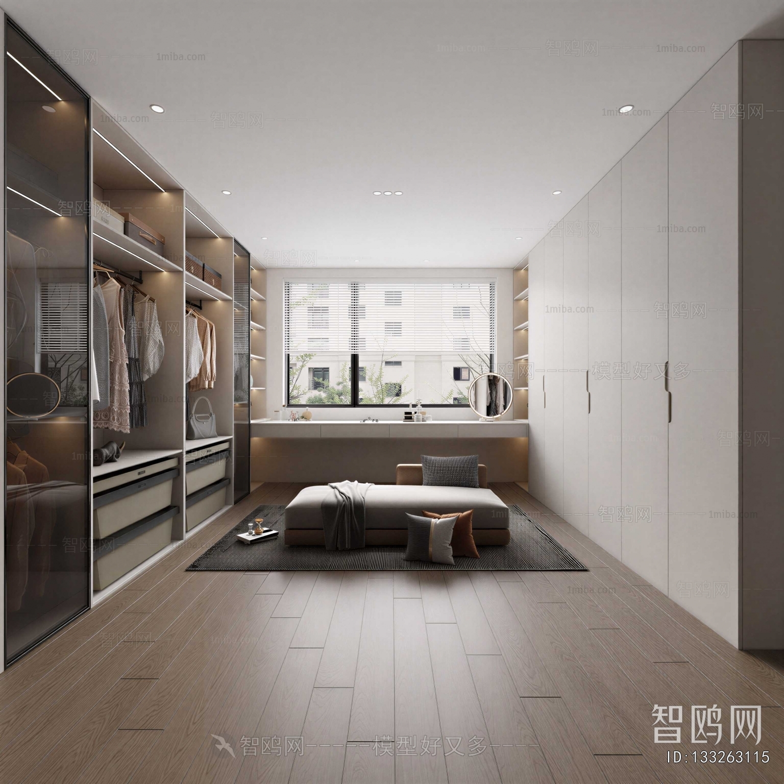 Modern Clothes Storage Area