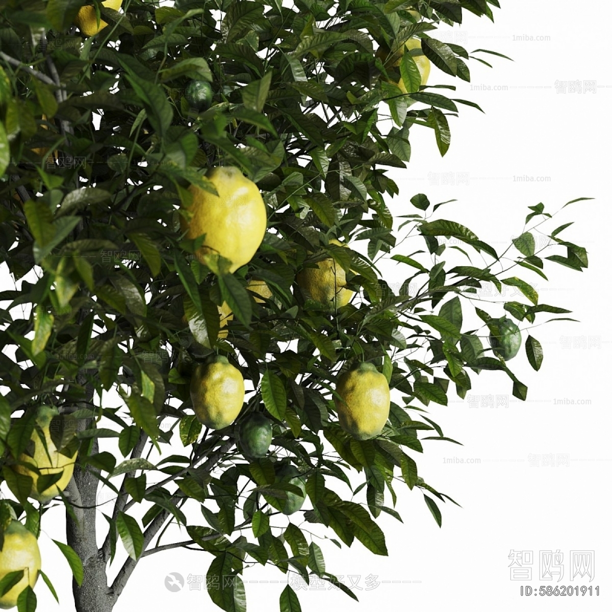 Modern Ground Green Plant Potted Plants