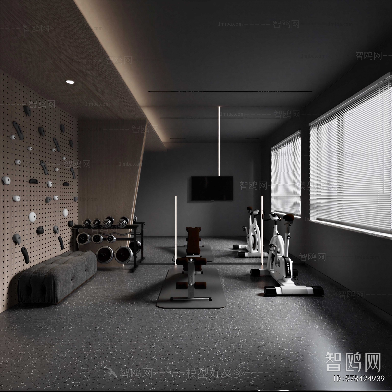 Modern Home Fitness Room