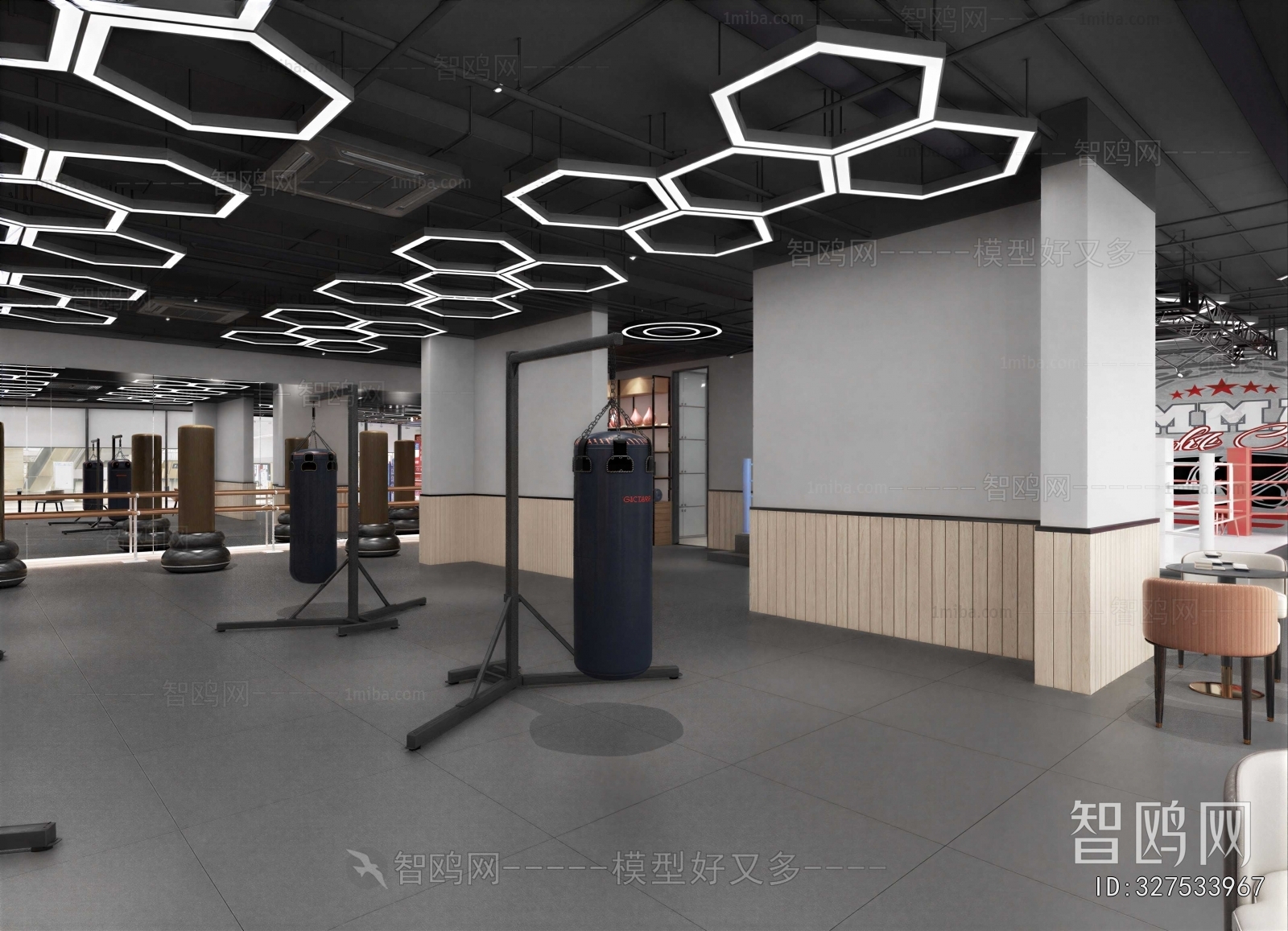 Industrial Style Gym