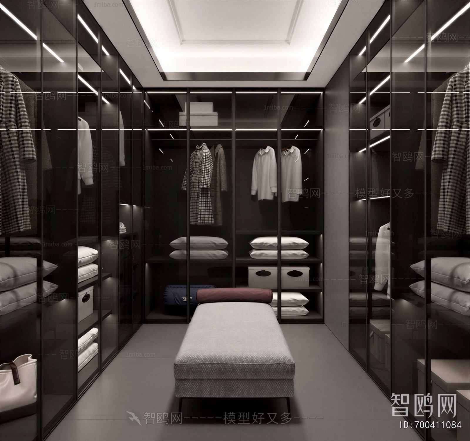 Modern Clothes Storage Area