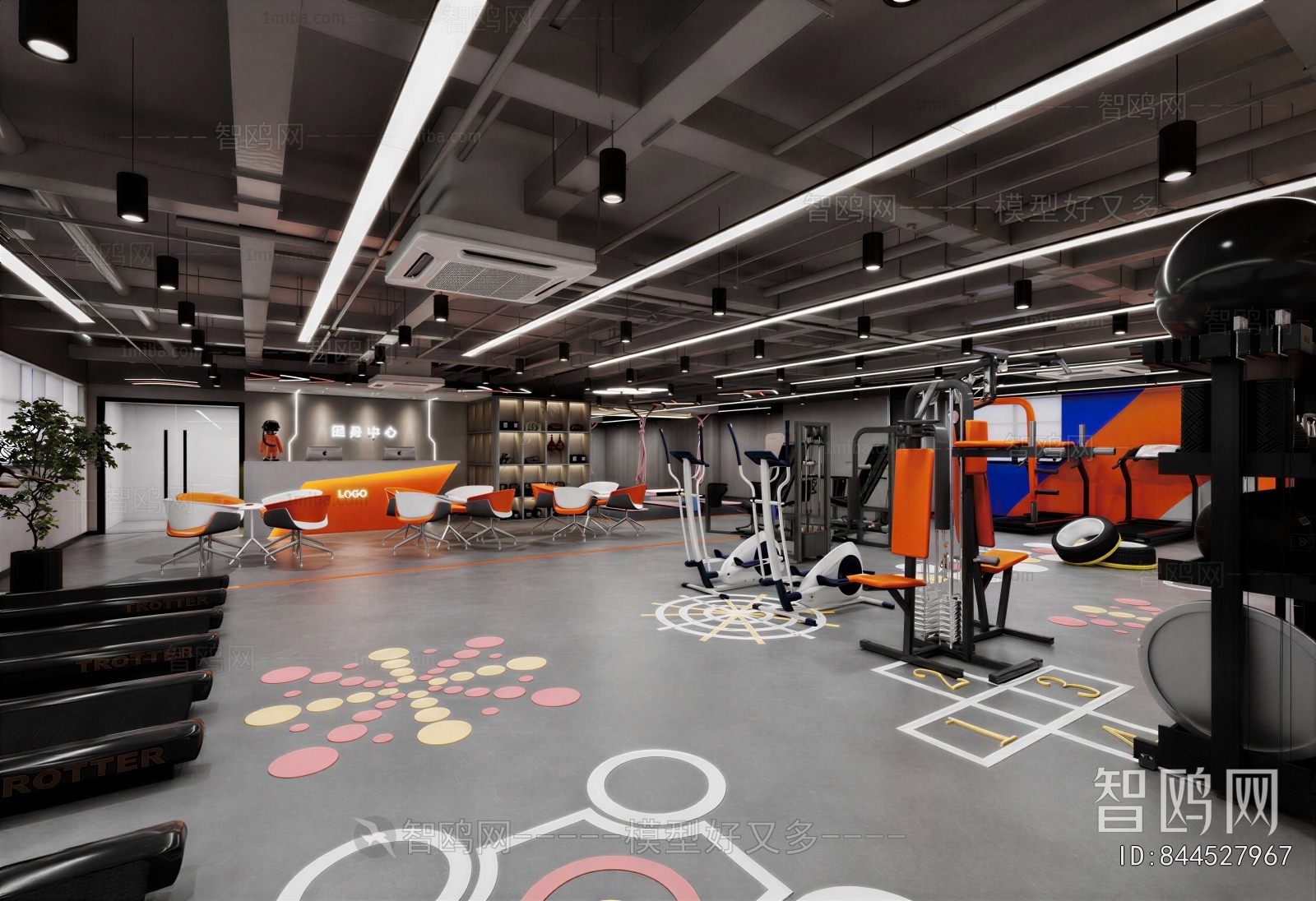 Industrial Style Gym