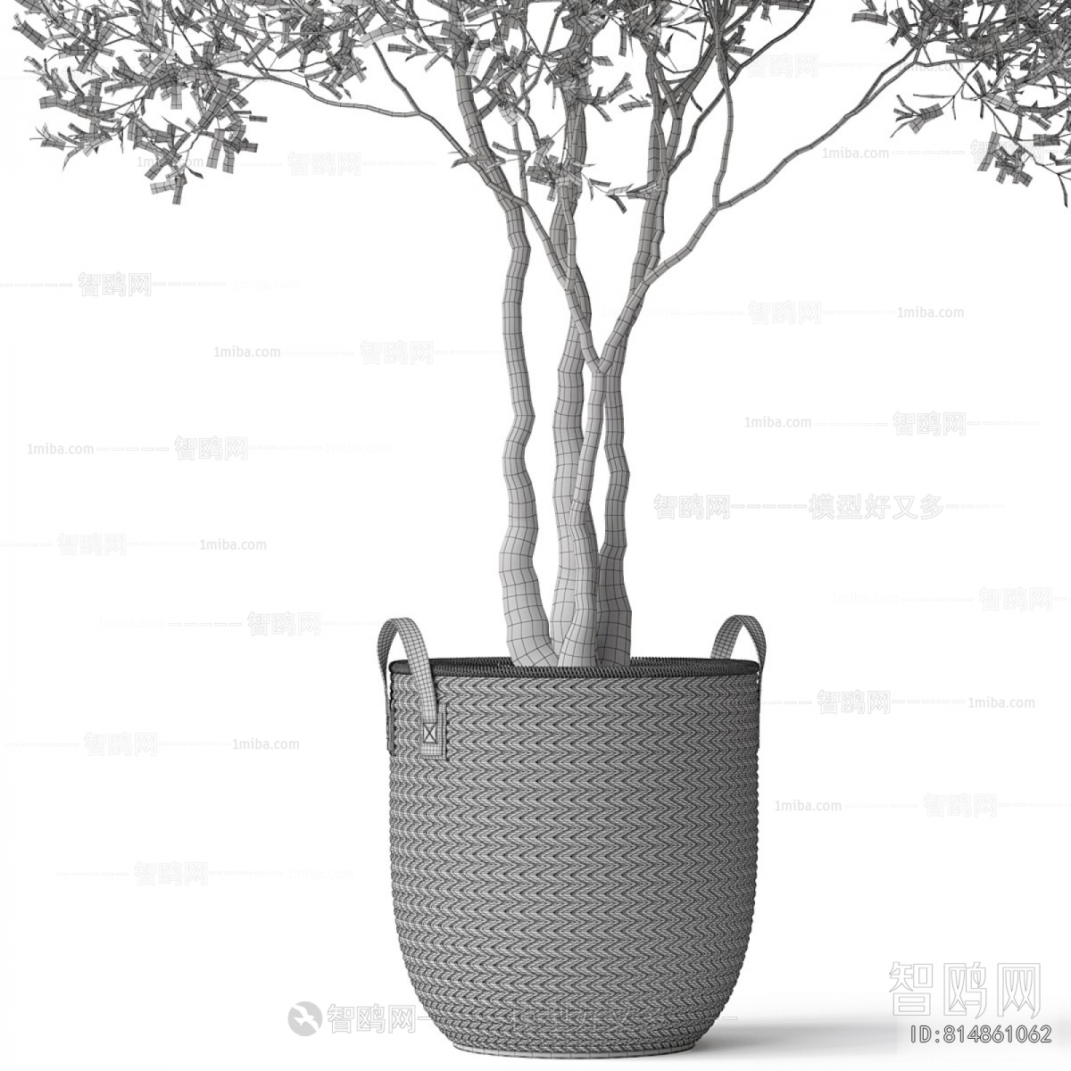 Modern Ground Green Plant Potted Plants
