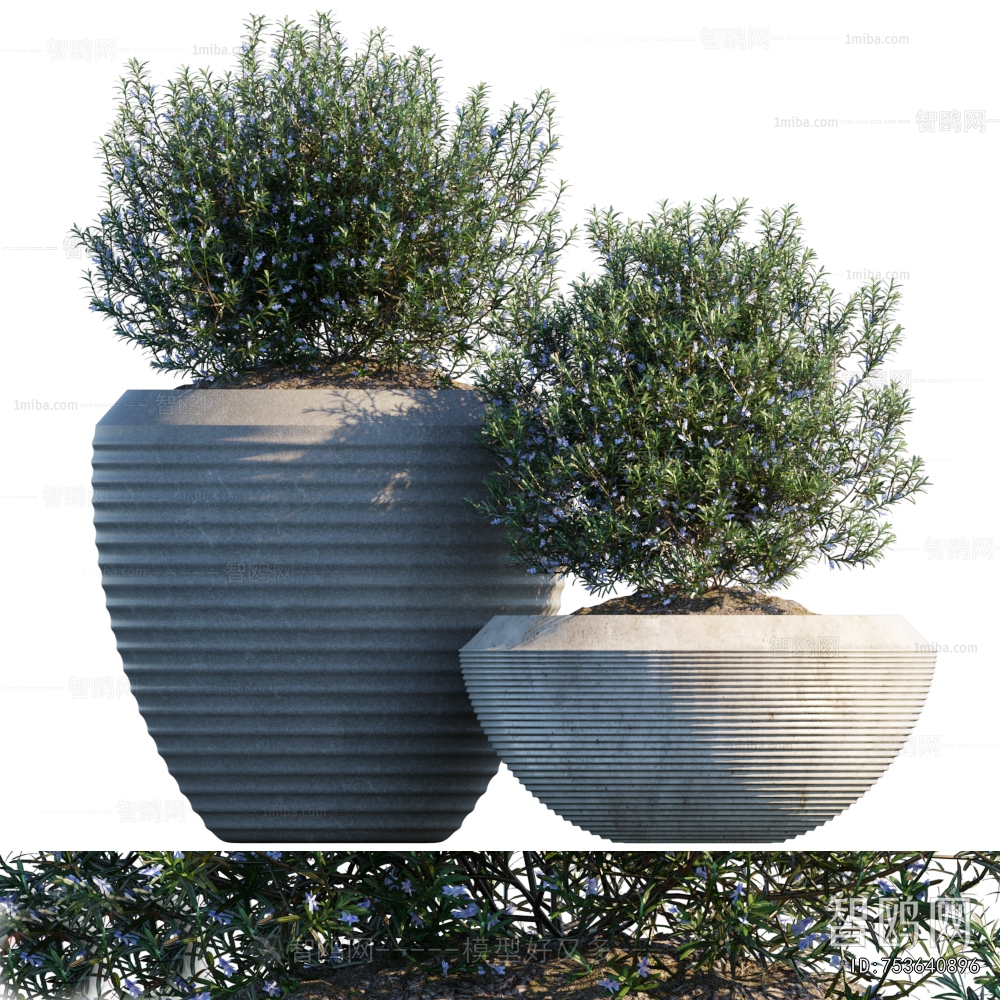 Modern Flower Bed, Flower Bowl, Flower Box