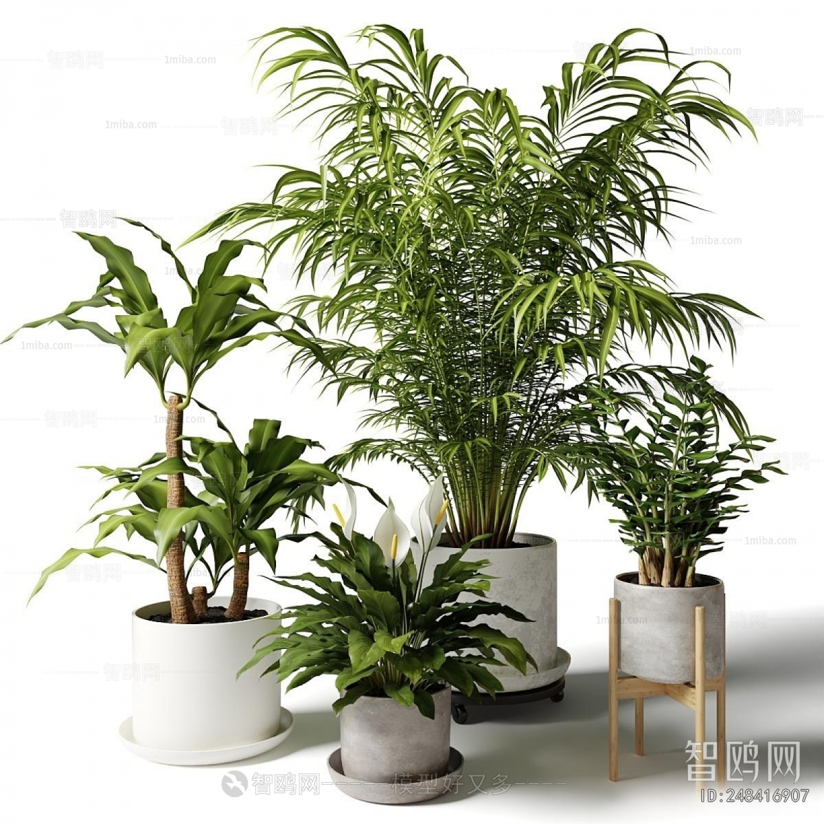 Modern Ground Green Plant Potted Plants
