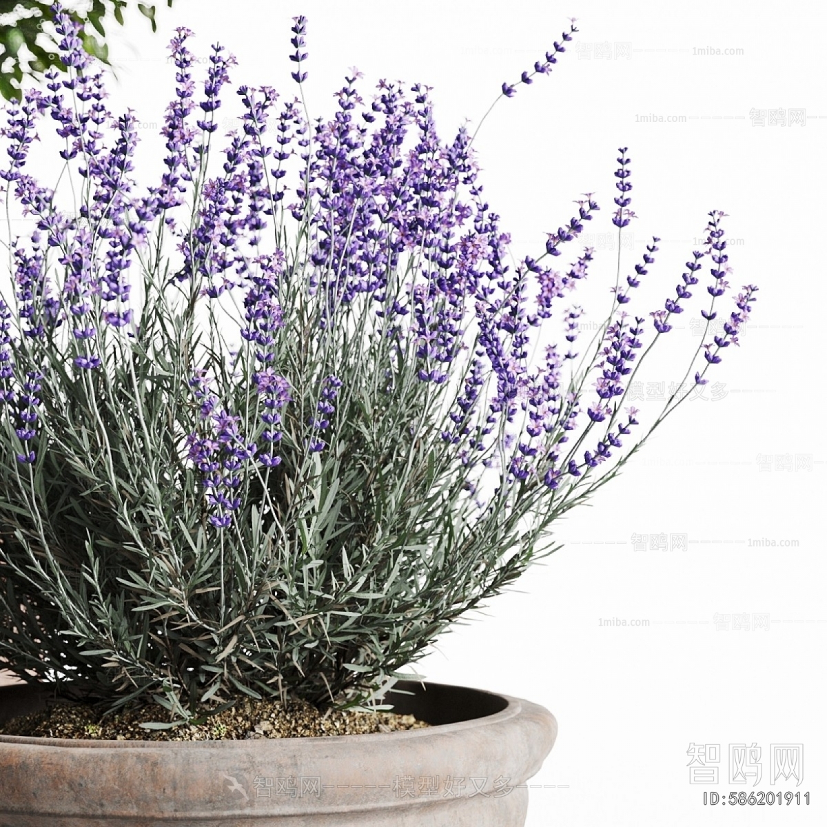 Modern Ground Green Plant Potted Plants