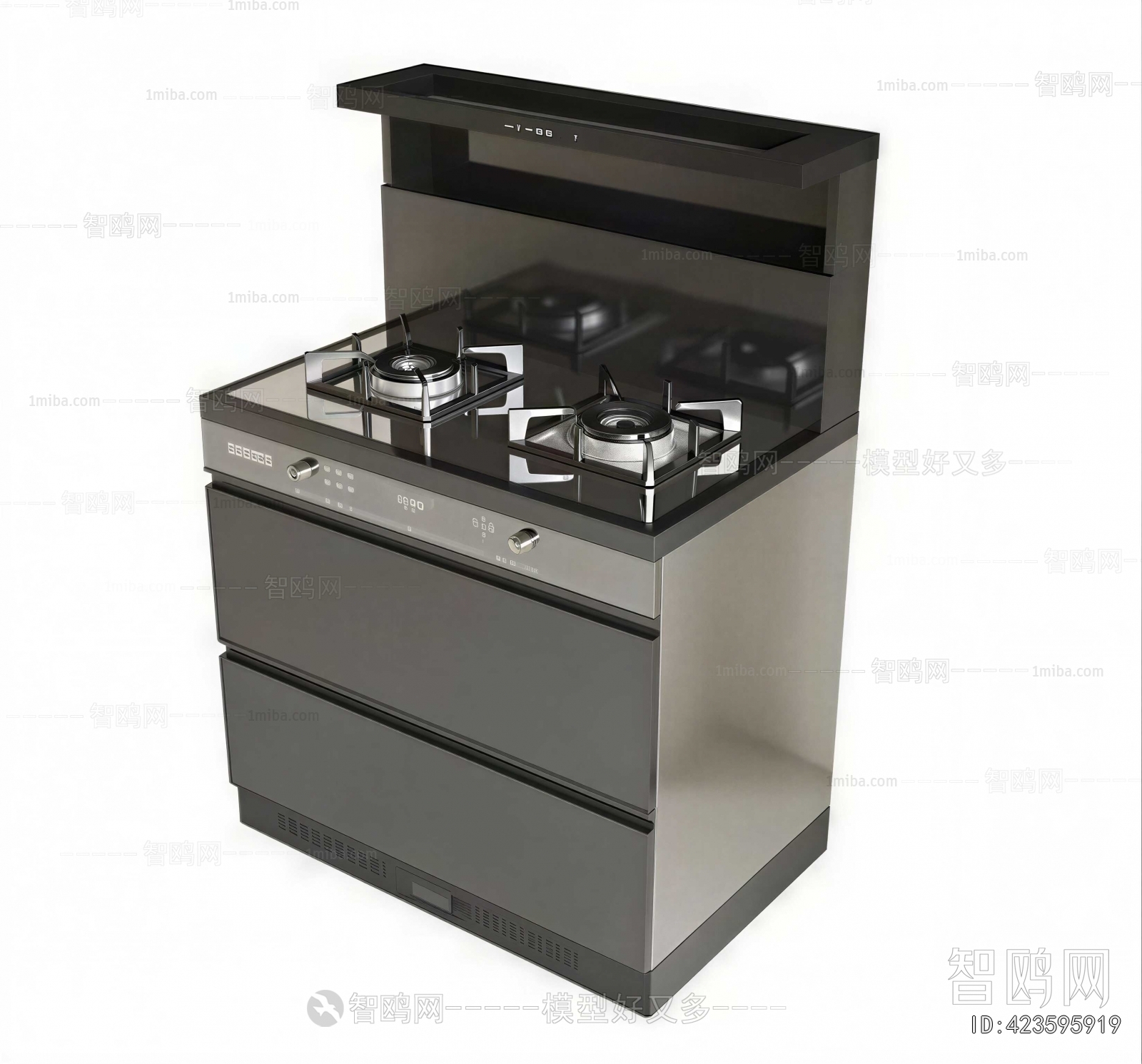 Modern Kitchen Electric Gas Range