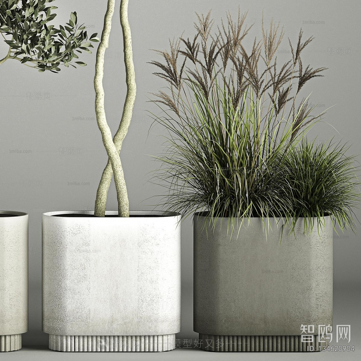 Modern Ground Green Plant Potted Plants