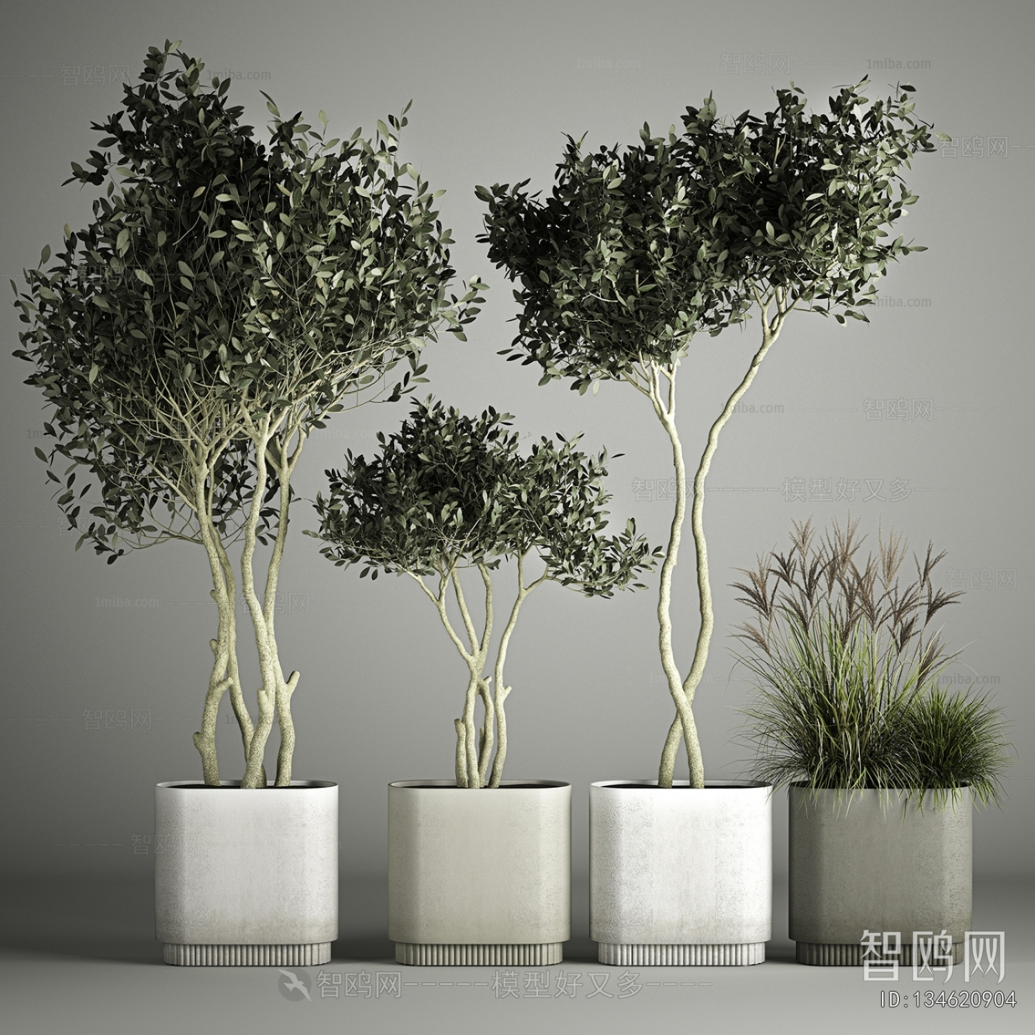 Modern Ground Green Plant Potted Plants