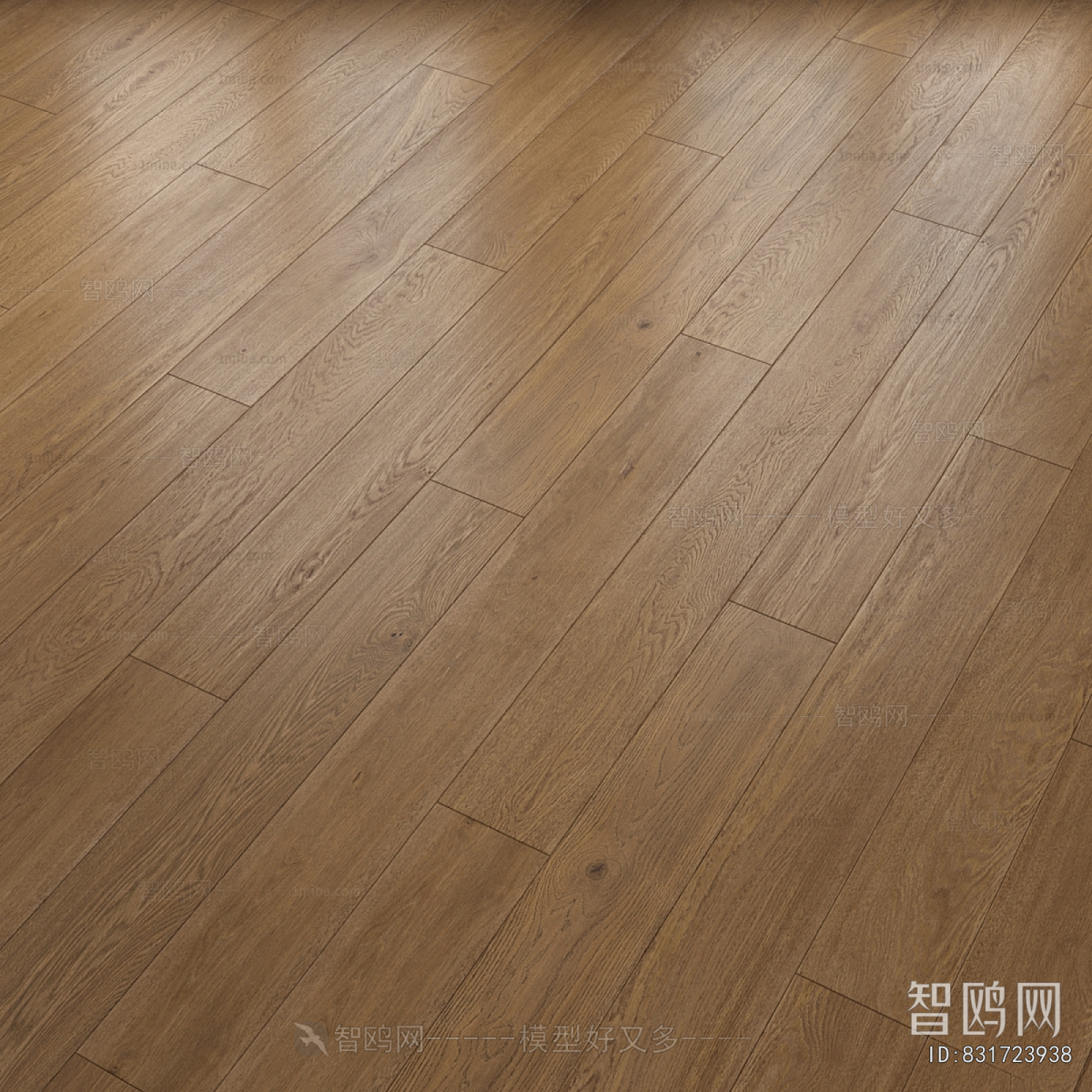 Modern Floor