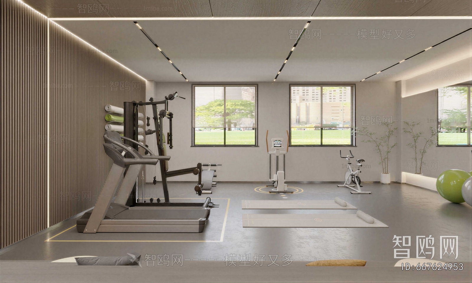 Modern Gym
