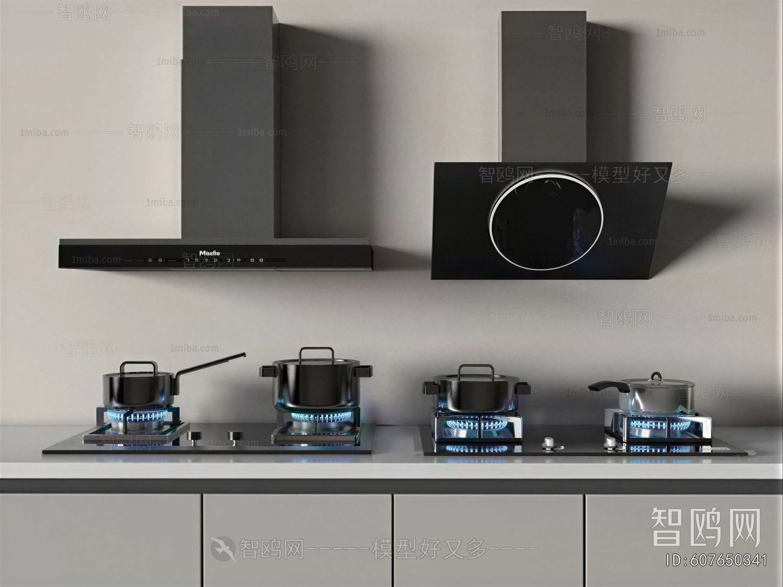 Modern Kitchen Electric Gas Range