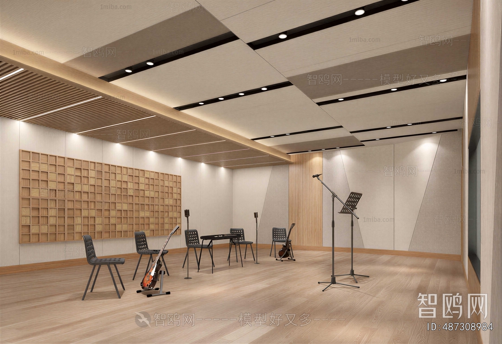 Modern Studio/Recording Studio/Live Room