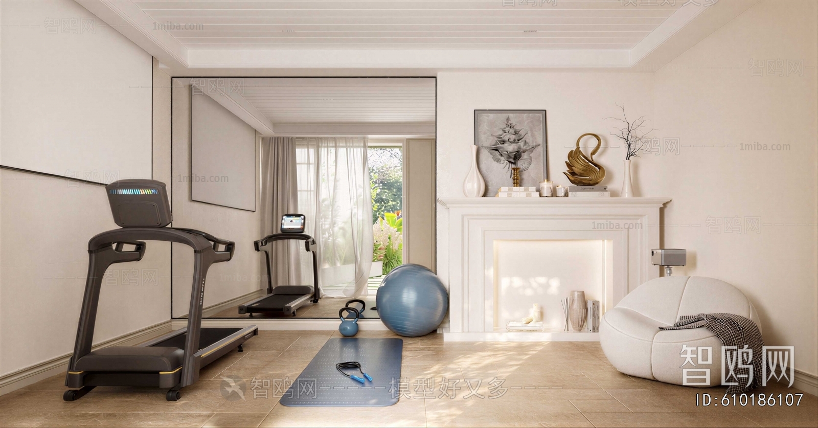 Modern Home Fitness Room
