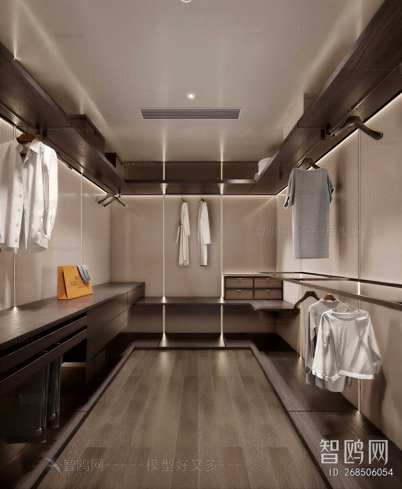 Modern Clothes Storage Area