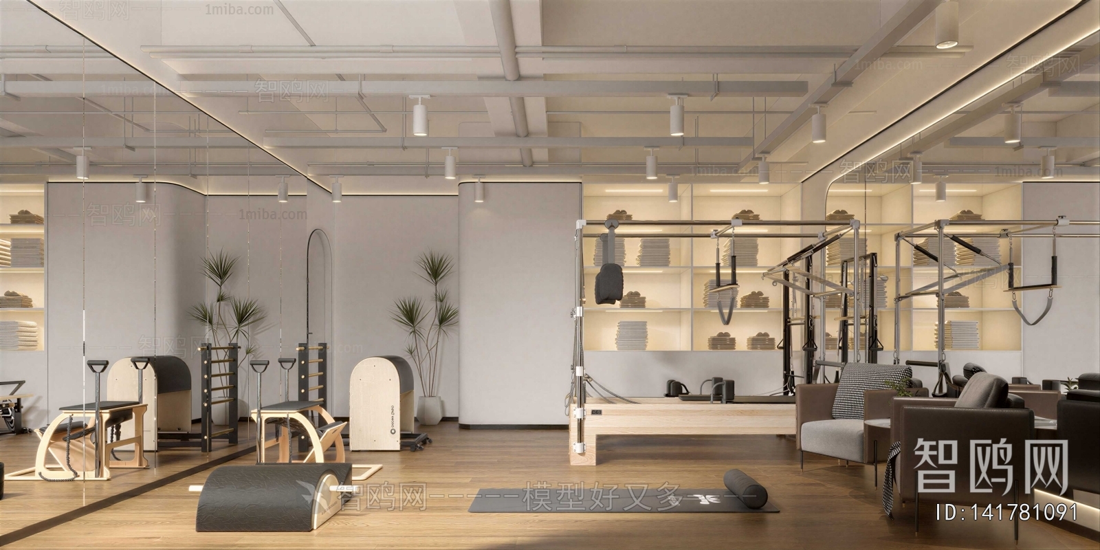 Modern Home Fitness Room