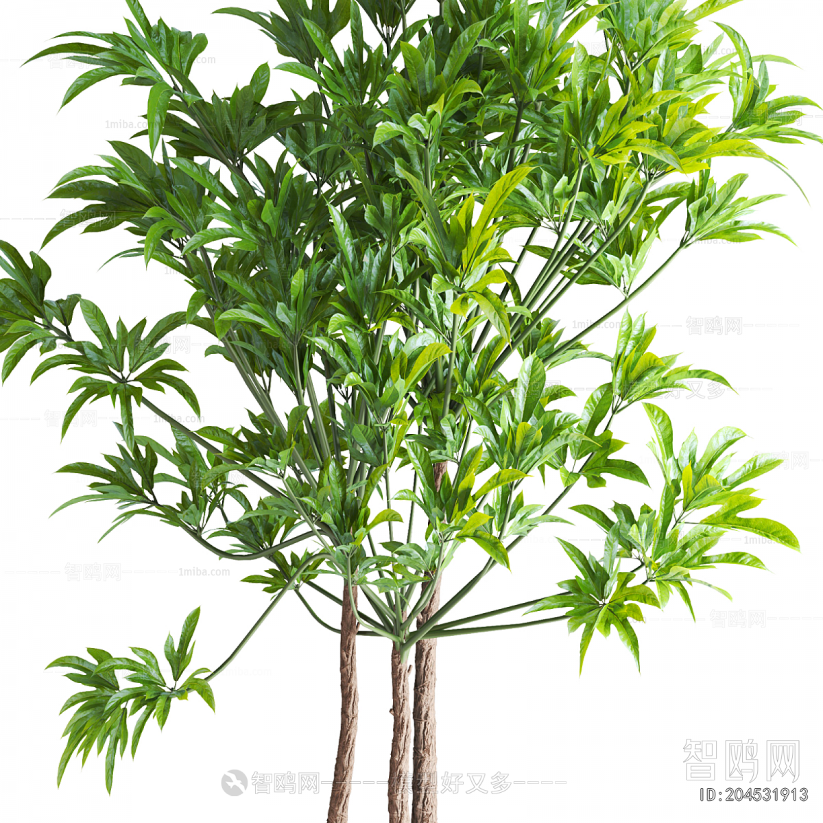 Modern Ground Green Plant Potted Plants