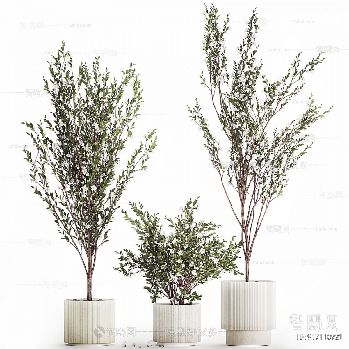 Modern Ground Green Plant Potted Plants
