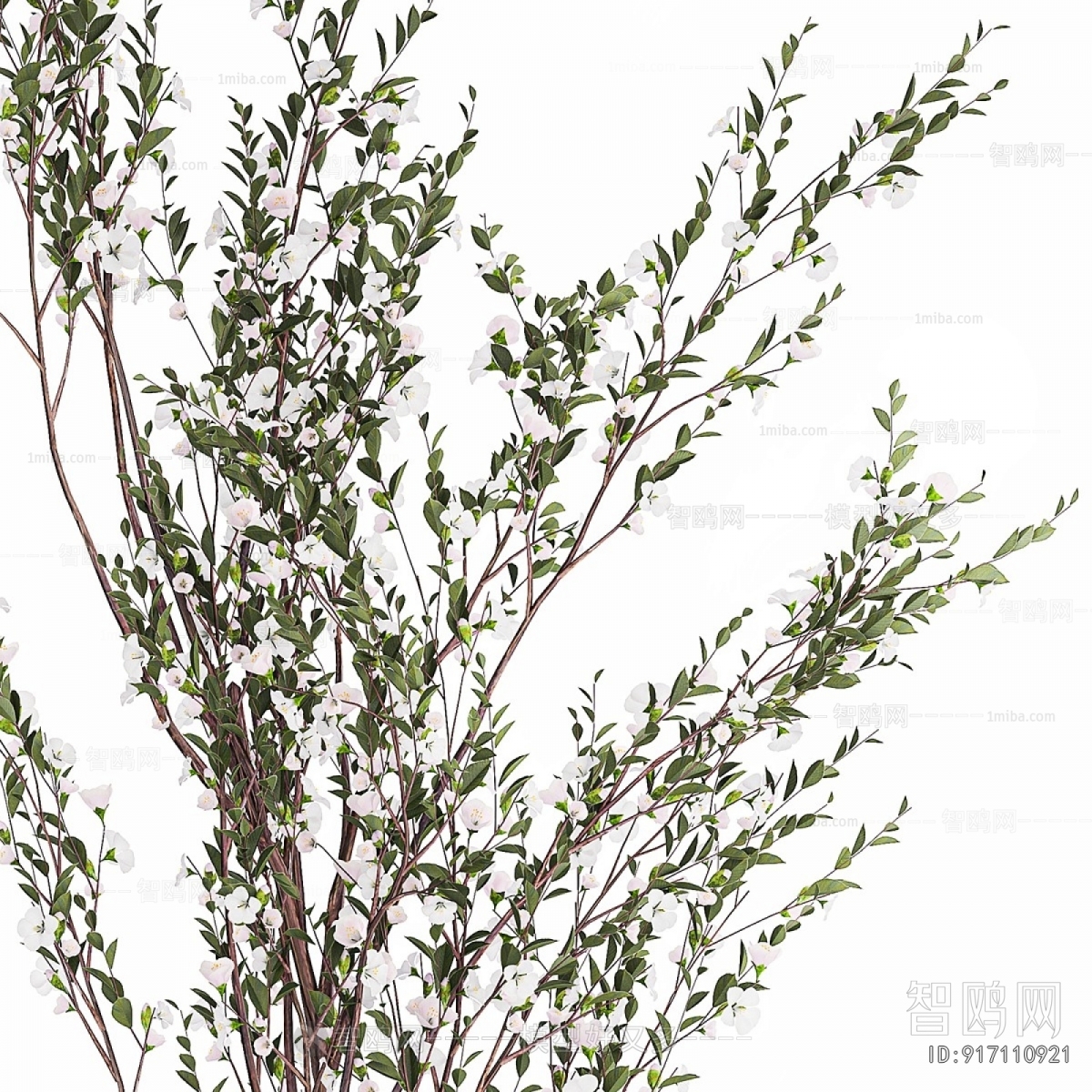 Modern Ground Green Plant Potted Plants