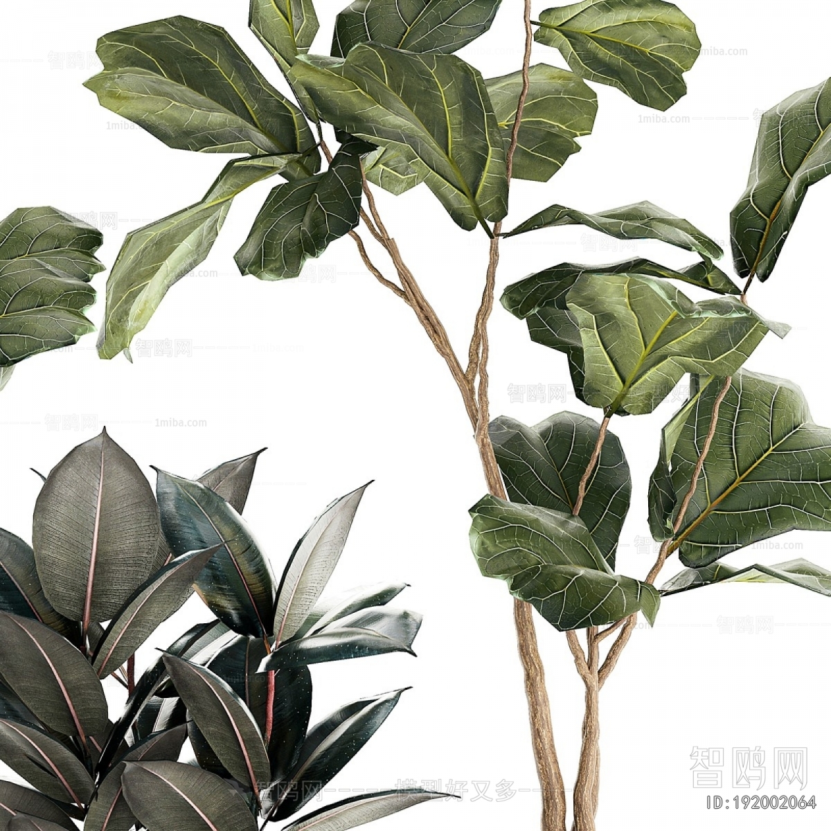 Modern Ground Green Plant Potted Plants