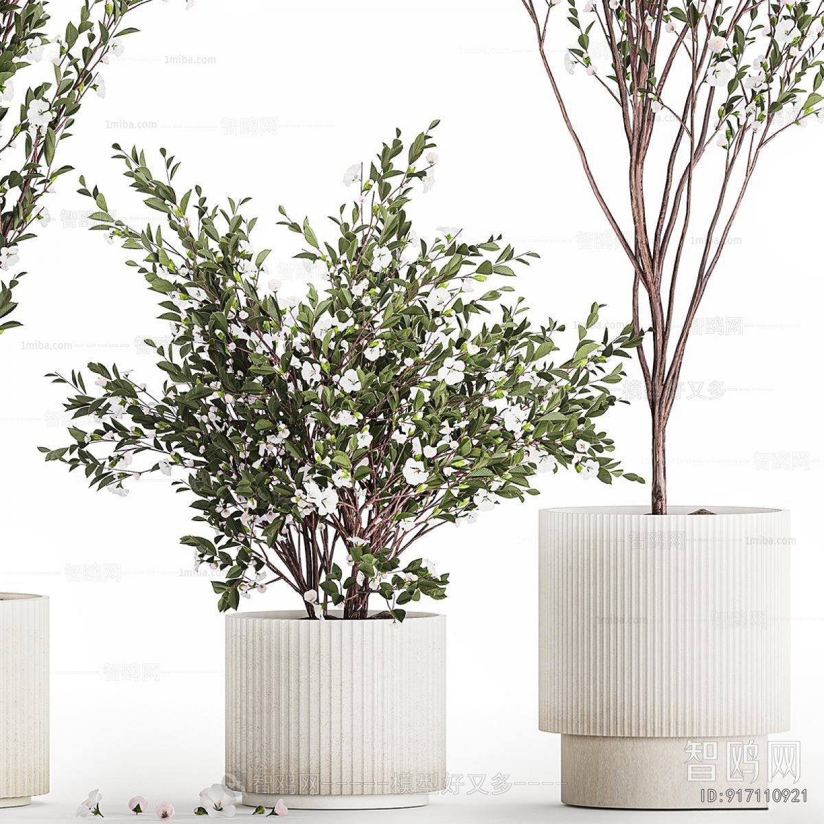 Modern Ground Green Plant Potted Plants