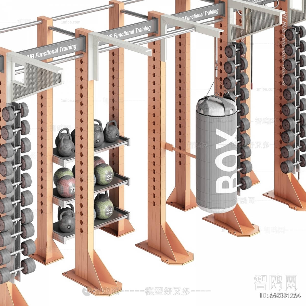 Modern Fitness Equipment