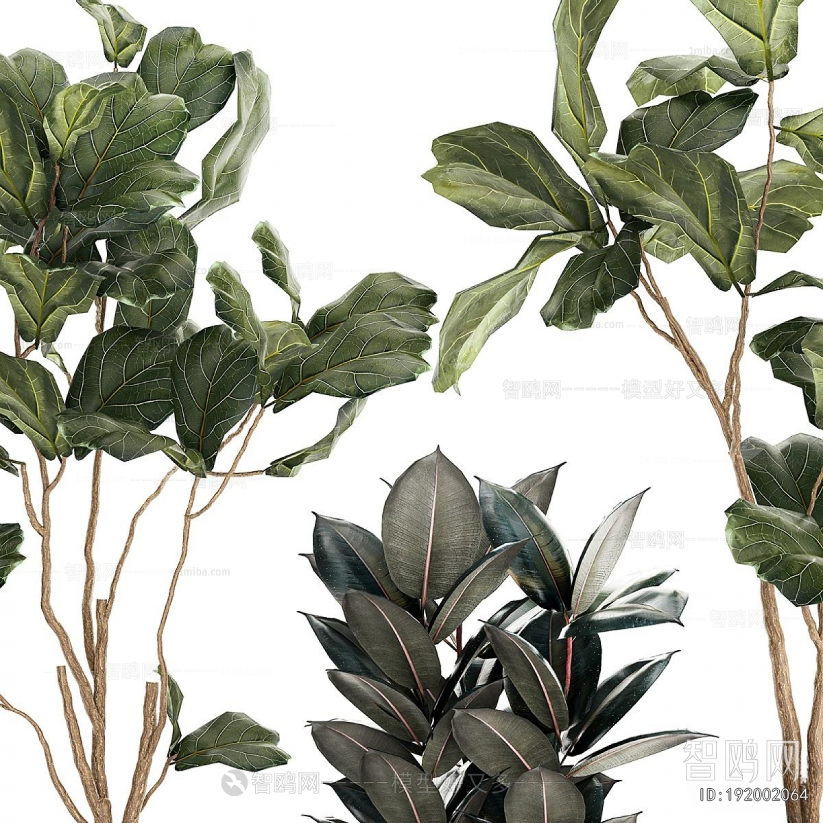 Modern Ground Green Plant Potted Plants