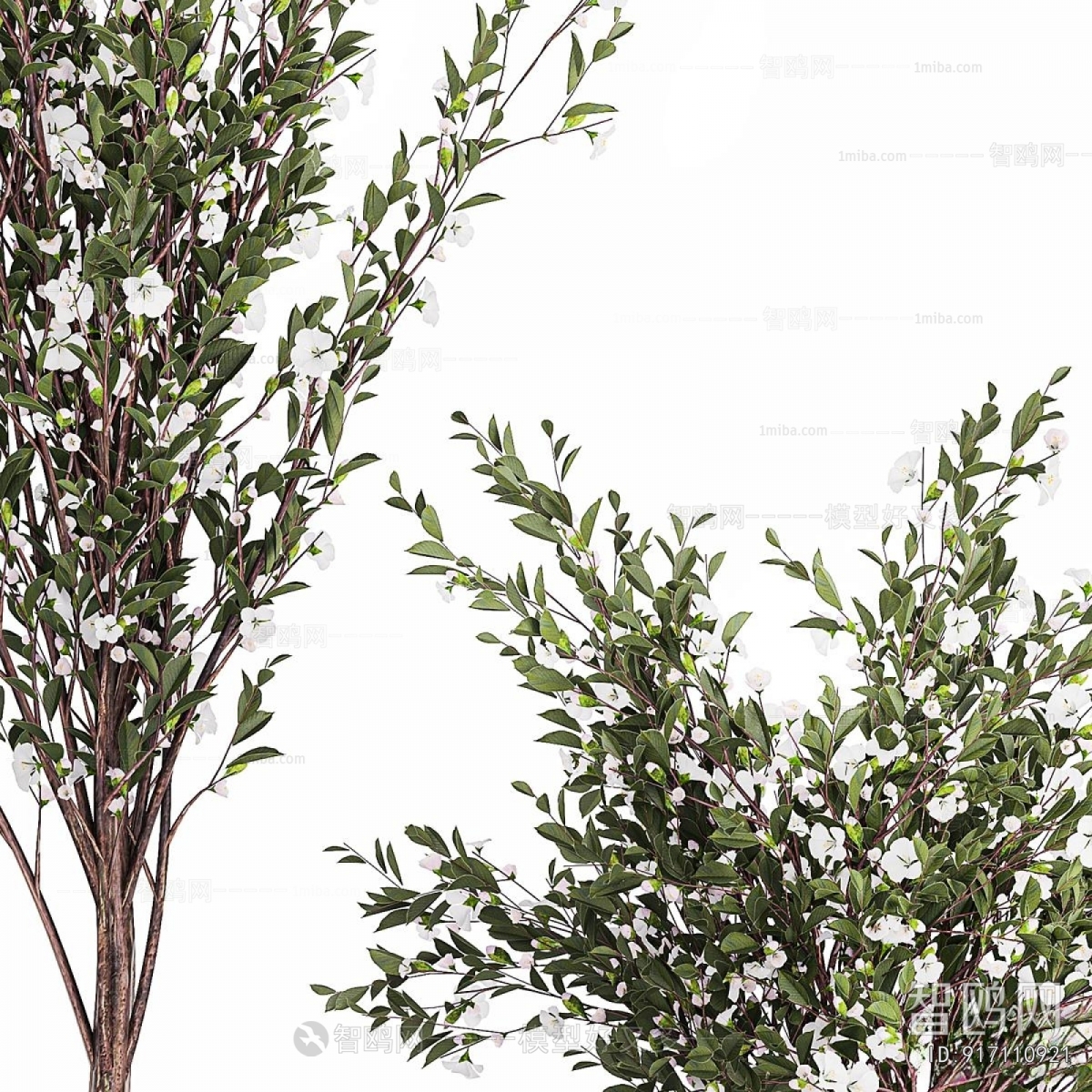 Modern Ground Green Plant Potted Plants