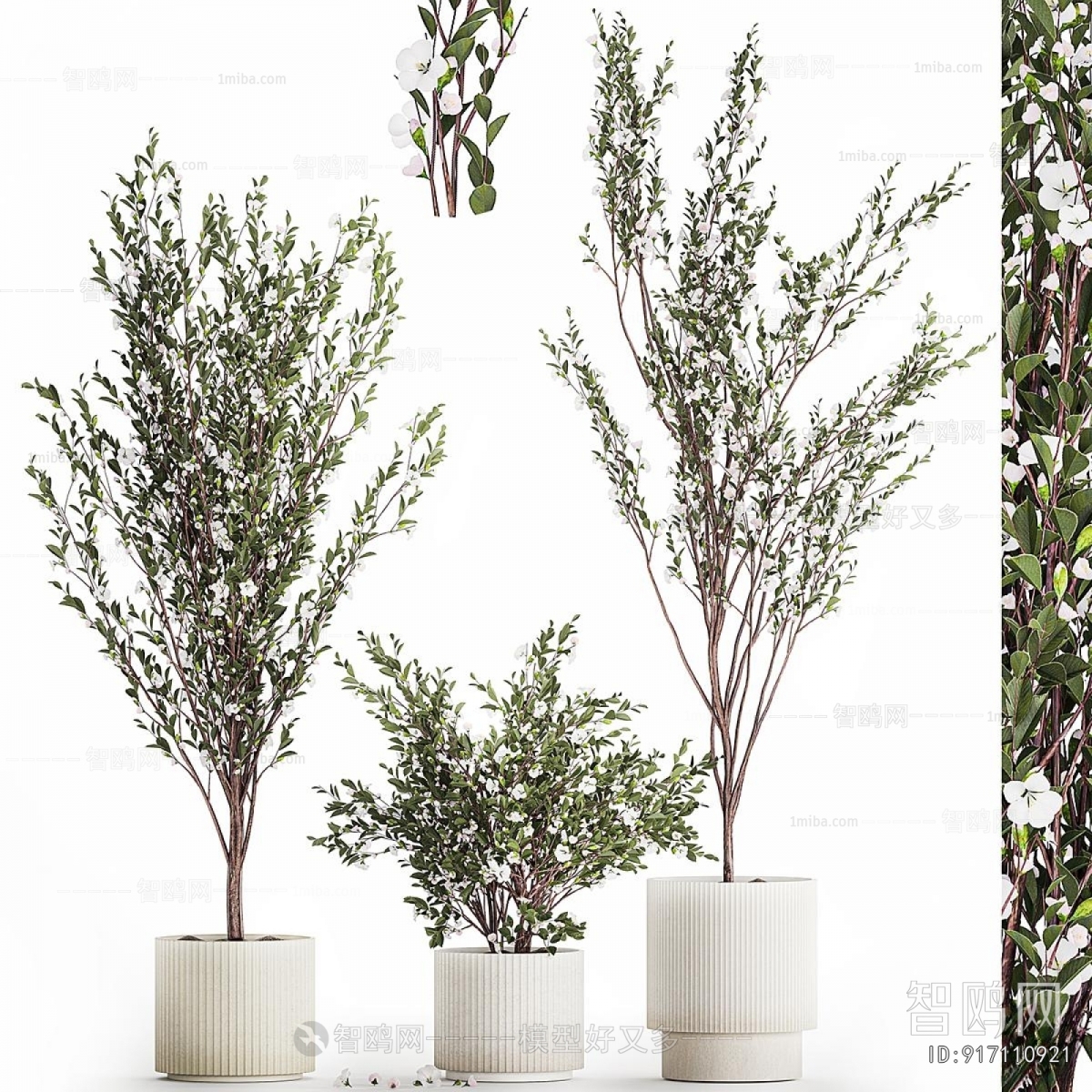 Modern Ground Green Plant Potted Plants