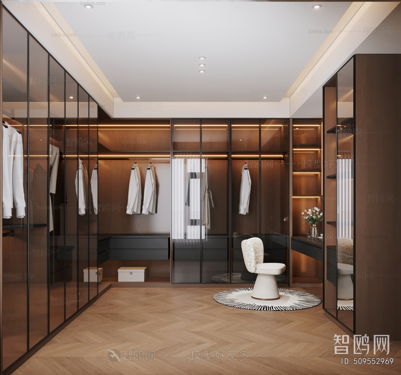 Modern Clothes Storage Area