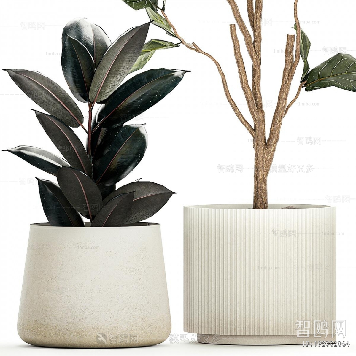 Modern Ground Green Plant Potted Plants