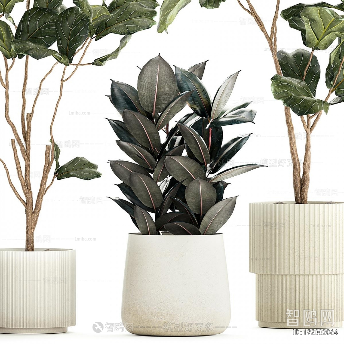 Modern Ground Green Plant Potted Plants
