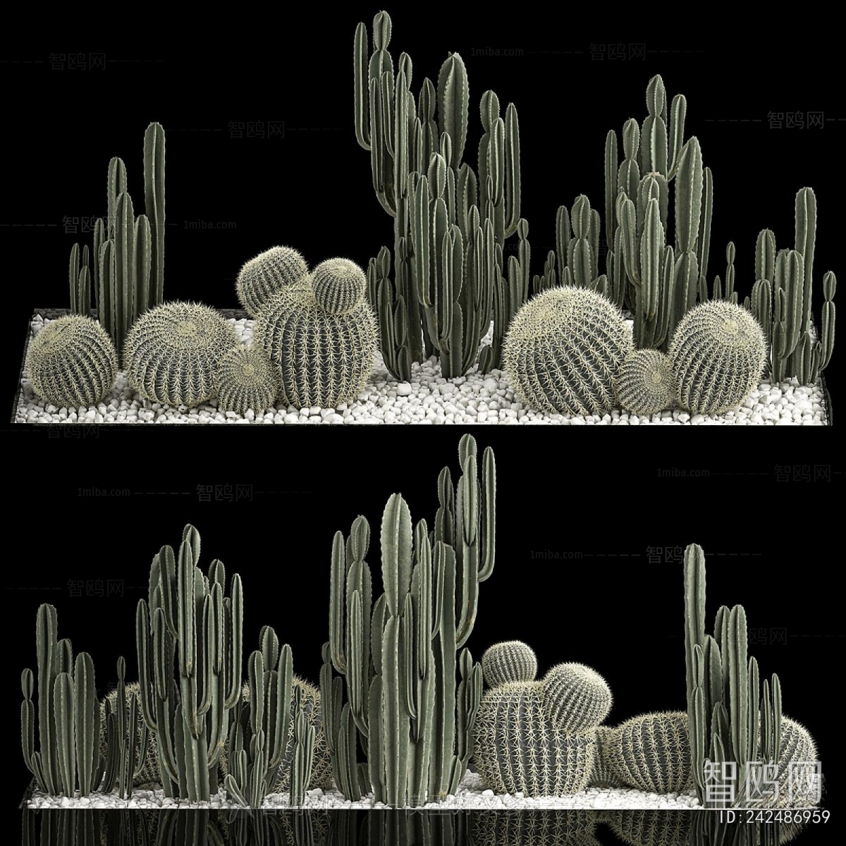 Modern Plant Landscaping