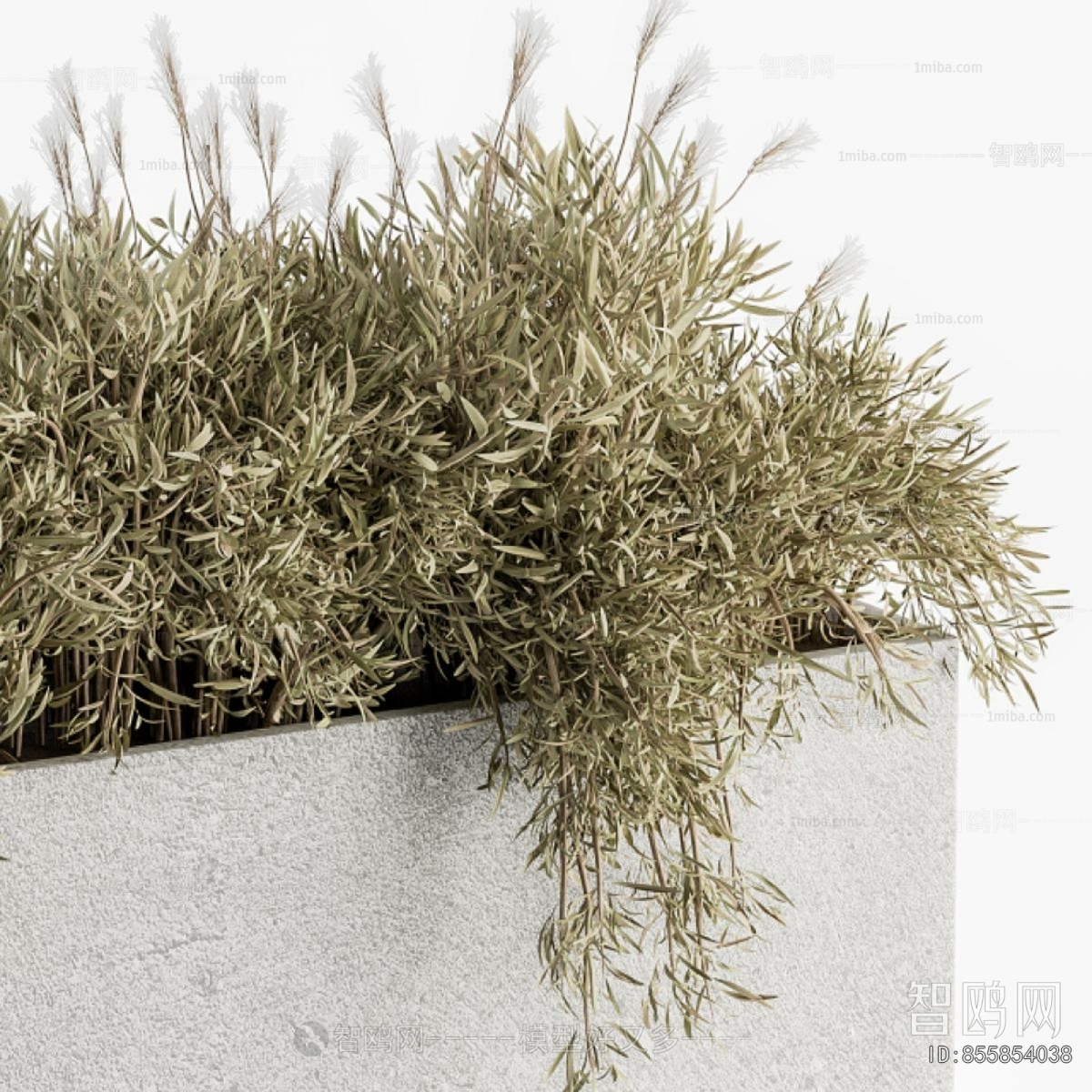 Modern Flower Bed, Flower Bowl, Flower Box